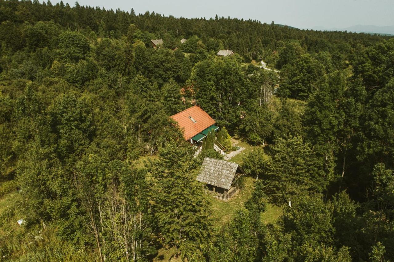 House Poljana Villa Plitvička Jezera Dış mekan fotoğraf