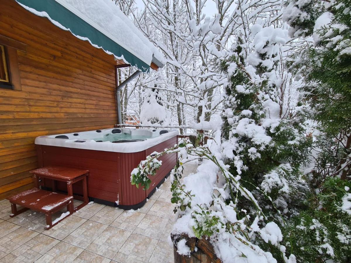 House Poljana Villa Plitvička Jezera Dış mekan fotoğraf