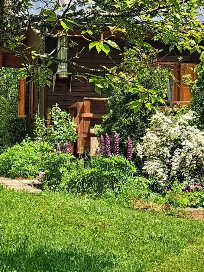 House Poljana Villa Plitvička Jezera Dış mekan fotoğraf